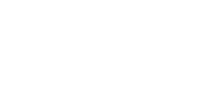 services-1-bullet